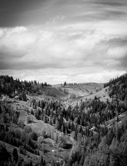 Industry visual audit