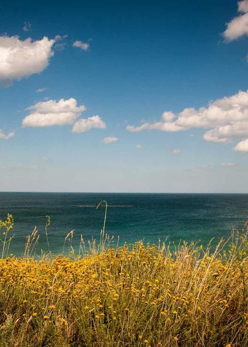 Typography & color palette